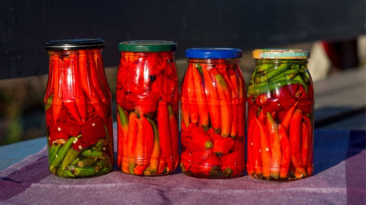 PIMENTA DELÍCIAS